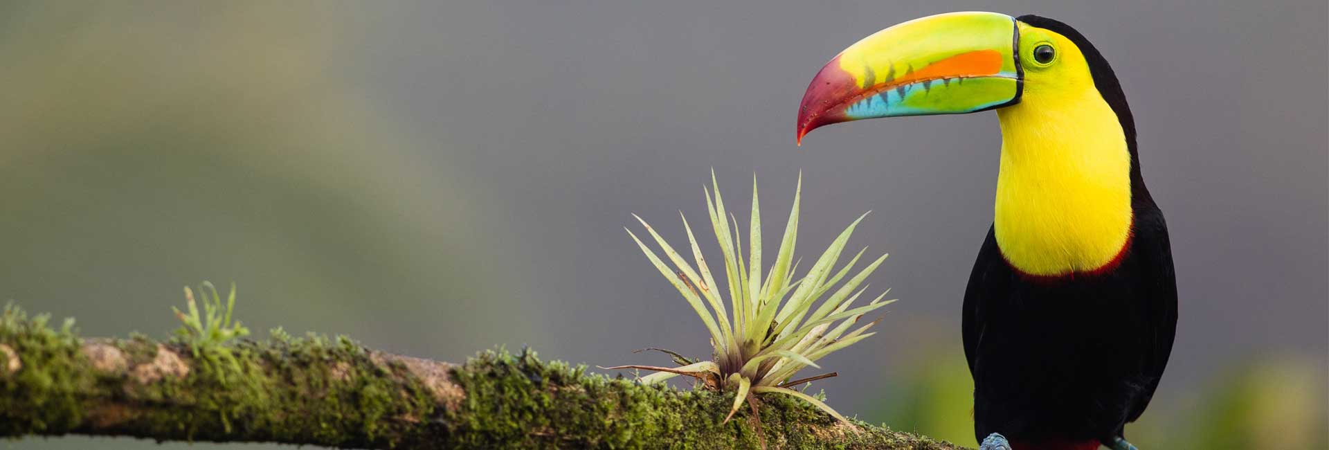 Costa Rica