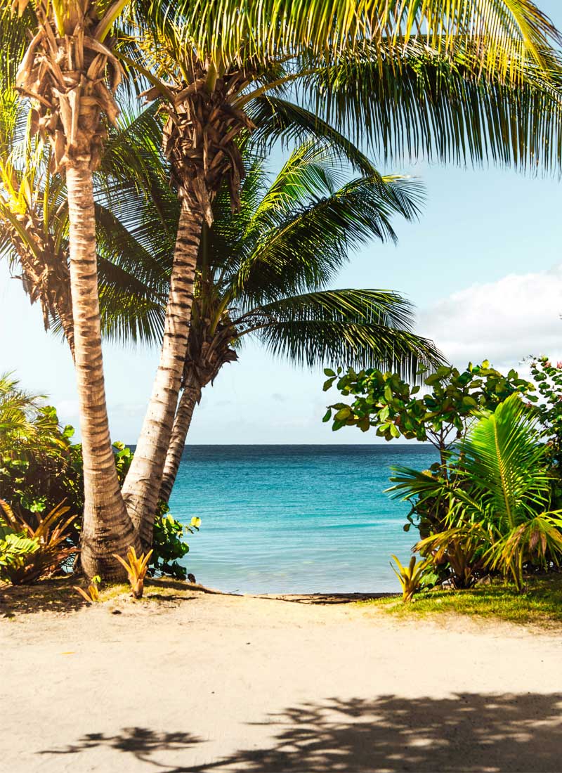 Punta Cana