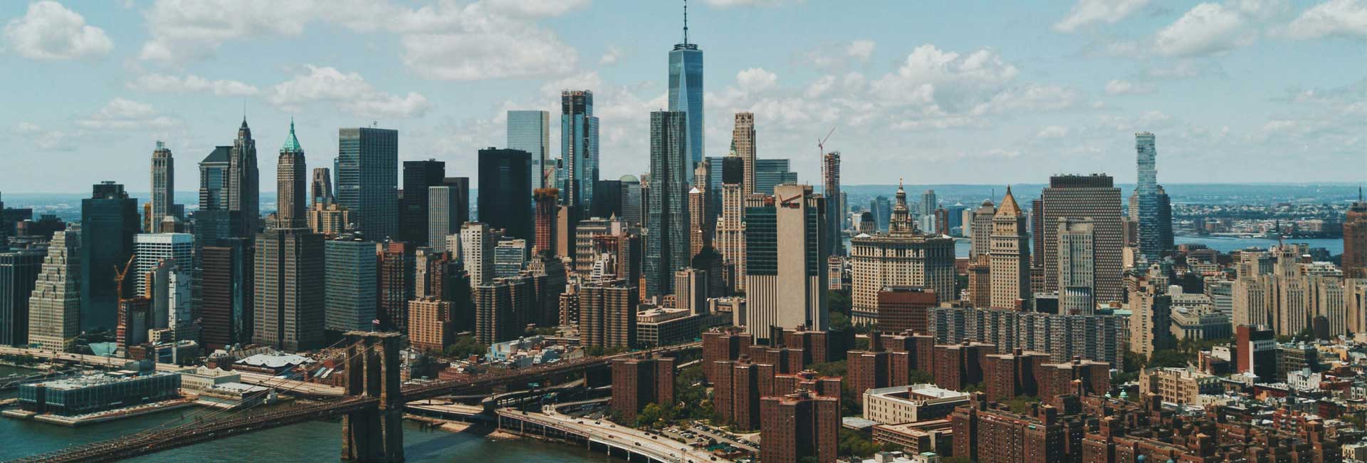NYC CON TERESA CALANDRA