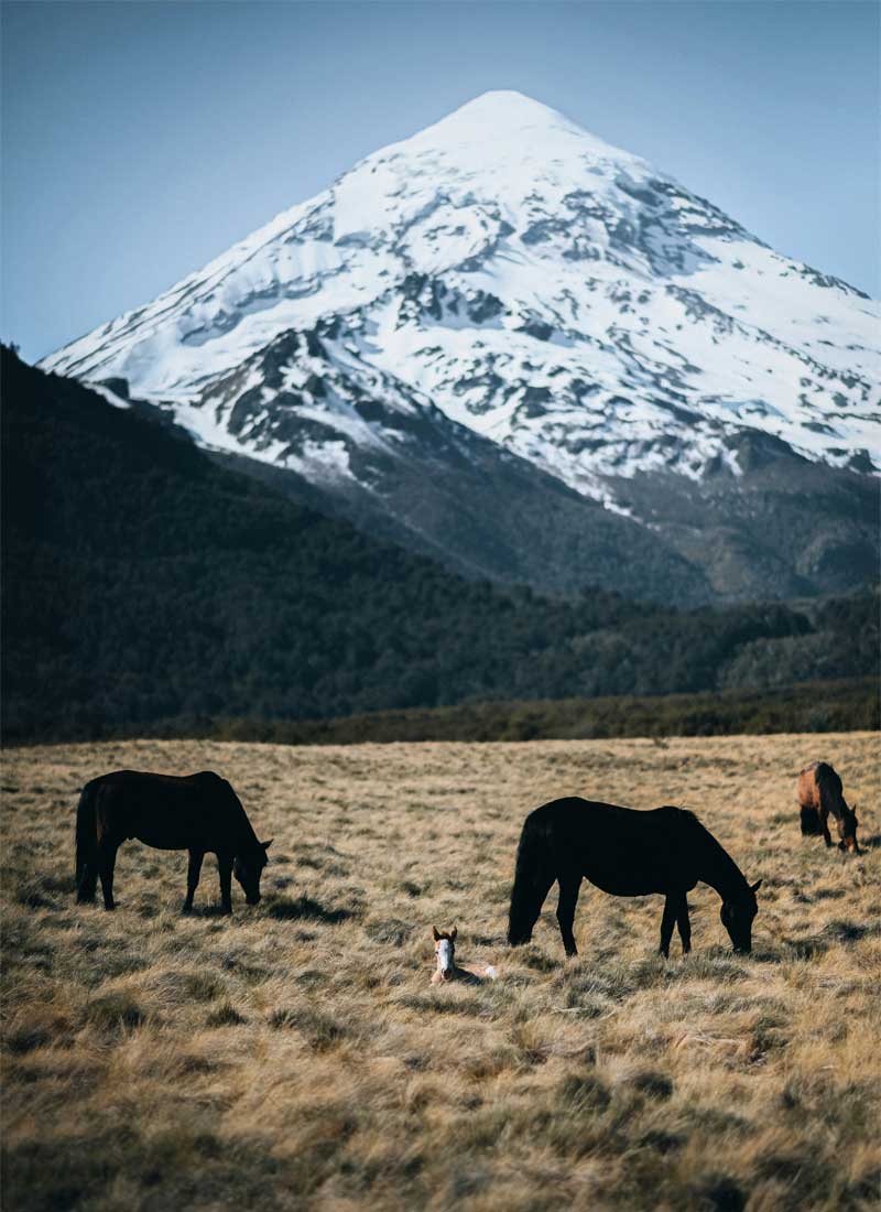 San Martin de los Andes