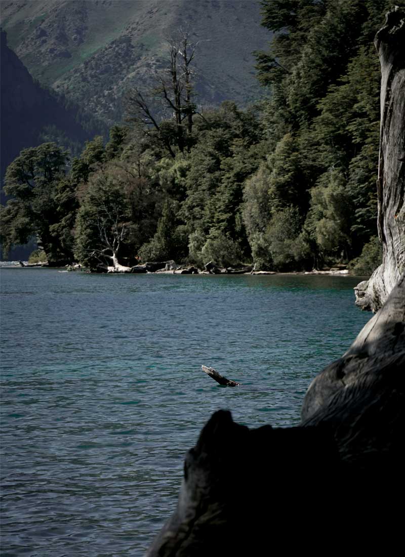 CONFINES PATAGONICOS