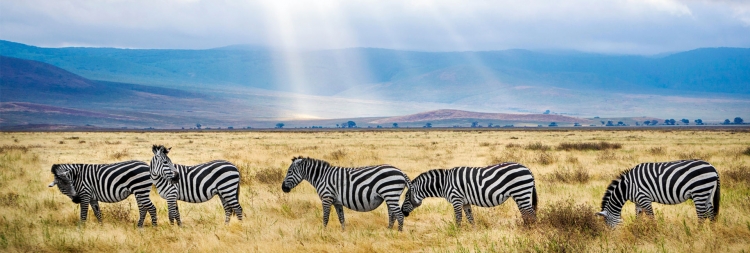 Kenya y Tanzania
