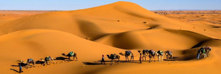 DUBAI Y ABU DHABI